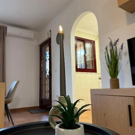 Casa El Sueno Nuevo 아파트 또레비에하